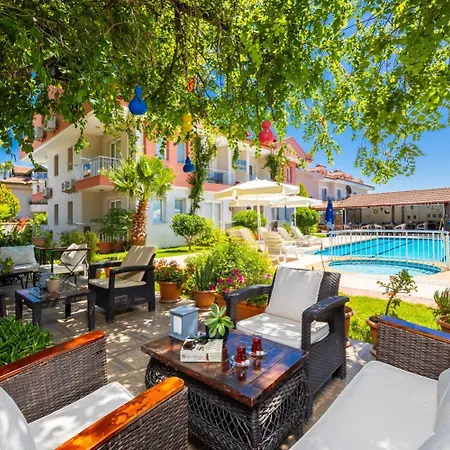 Safak Oasis